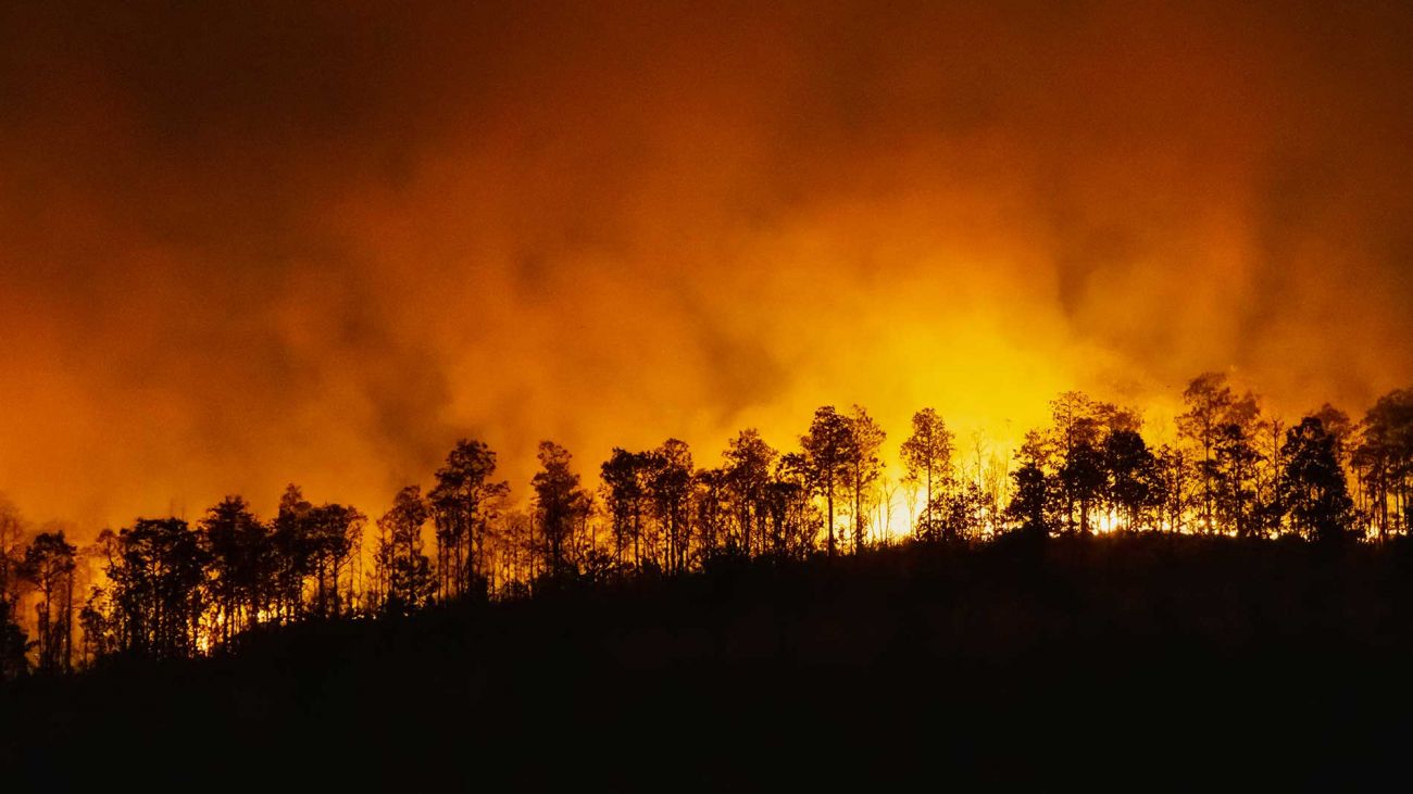 Incendio boschivo