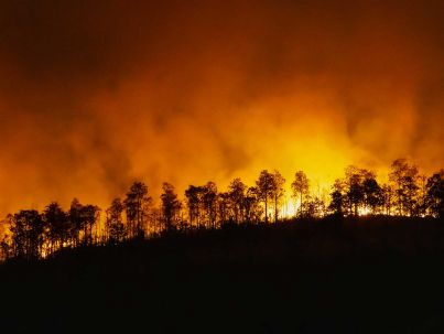 Incendio boschivo