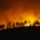 Incendio boschivo